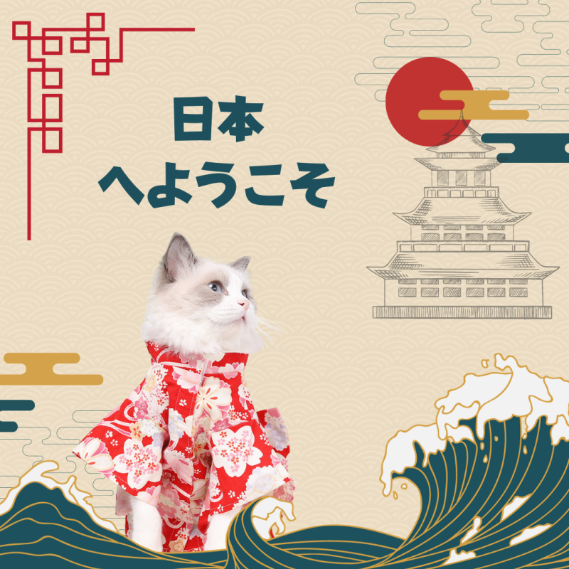 日式和服 Japan kimono (Y001 c007)