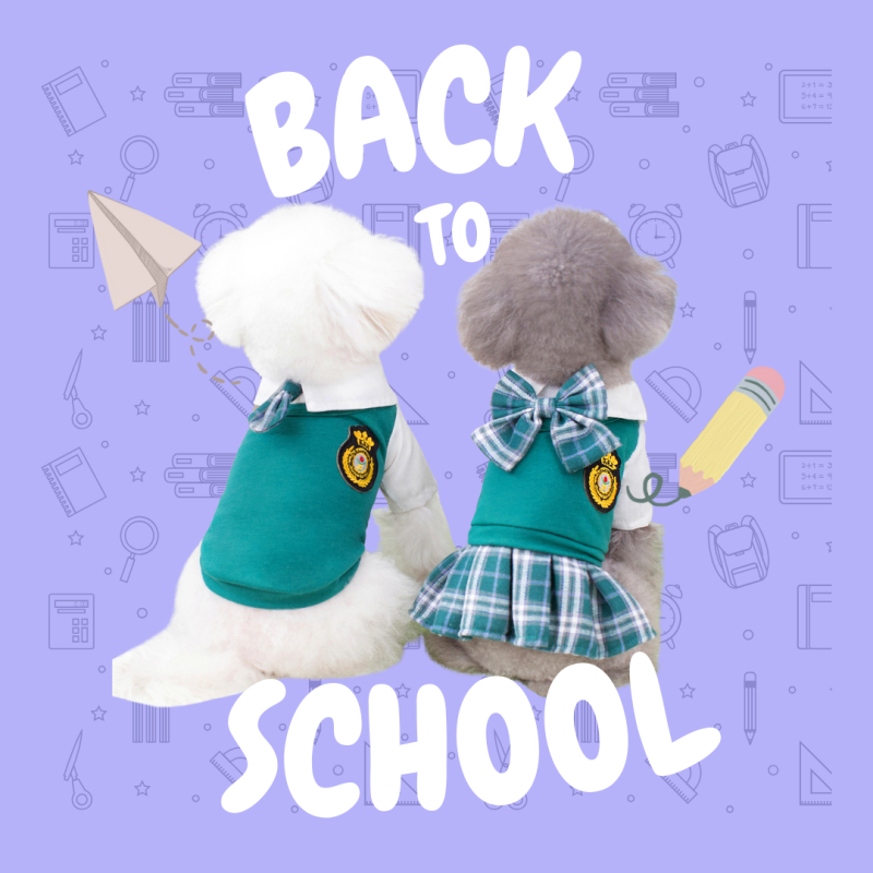 校服 school uniform (H001 c010)
