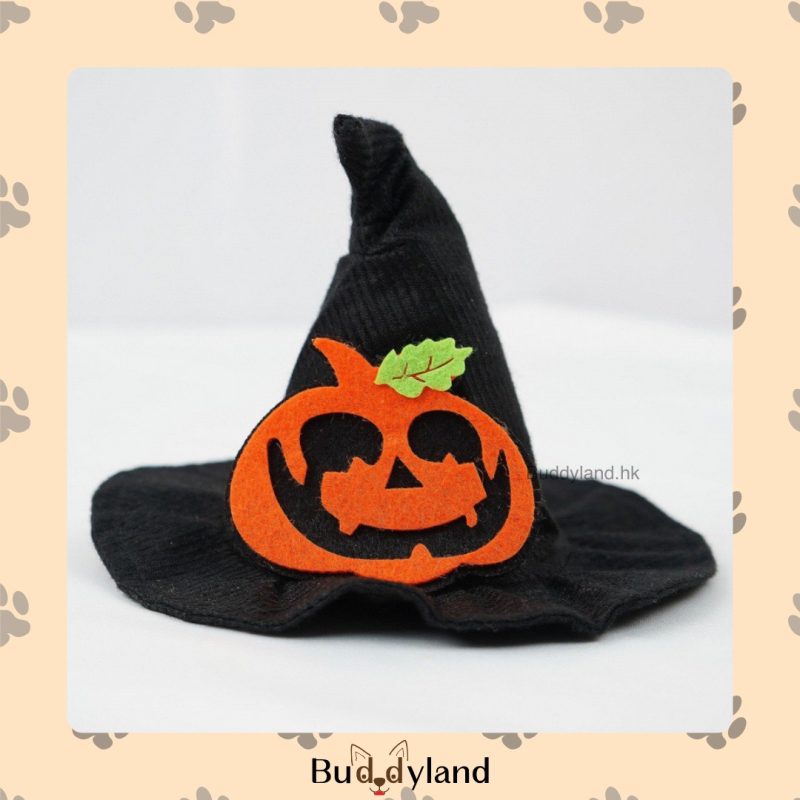 萬聖節女巫帽 Halloween witches hat （多款） (G002 h001)