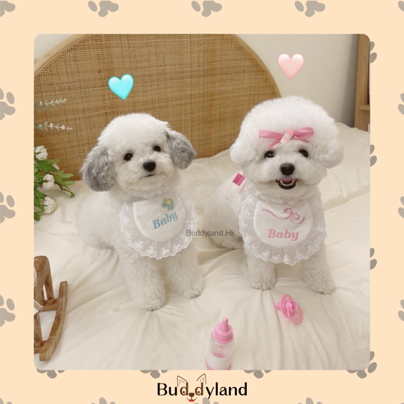 寶貝圍巾+蝴蝶結 “Baby”scarf with ribbon clip (T001 s012)
