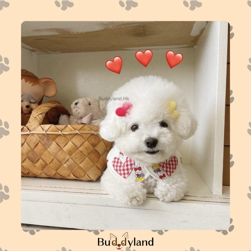 韓國款兔仔心心圍巾 Korea bunny heart scarf (T001 s014)