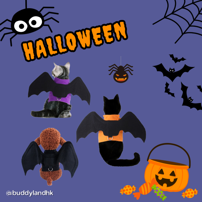 萬聖節蝙蝠鈴鐺服裝 bat costume (Y002 c044)