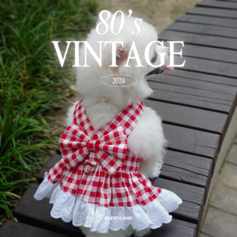 紅色蕾絲復古裙 red lace vintage dress (H001 c015)