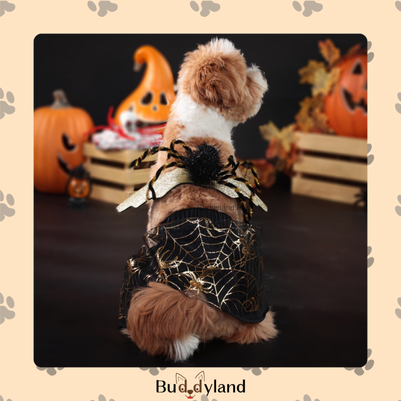 萬聖節蜘蛛裙 Halloween spider dress (G002 c027)