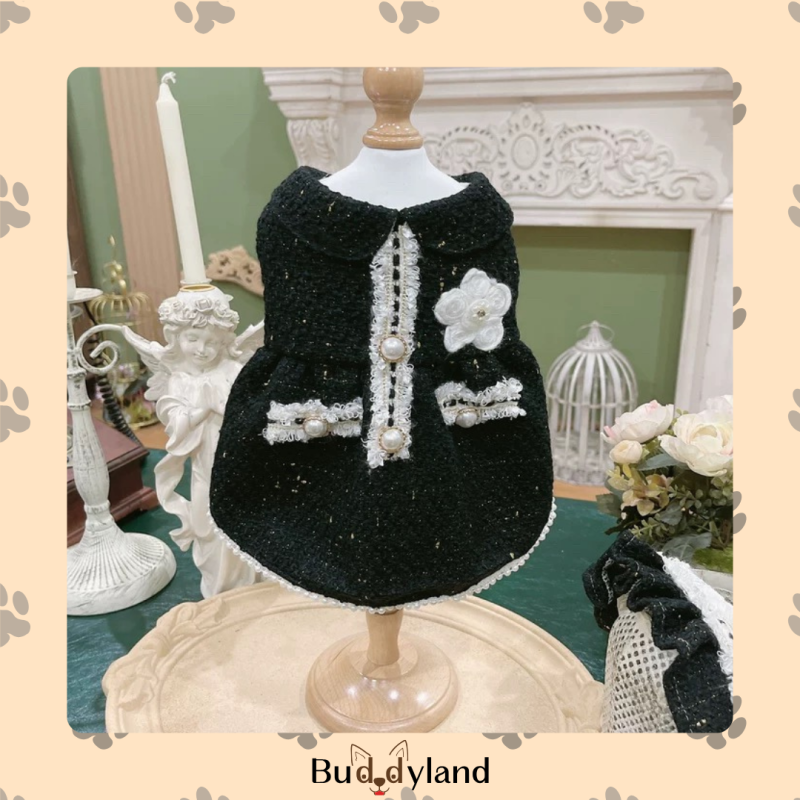 Camellia glint Lady (black) (X001 c046)