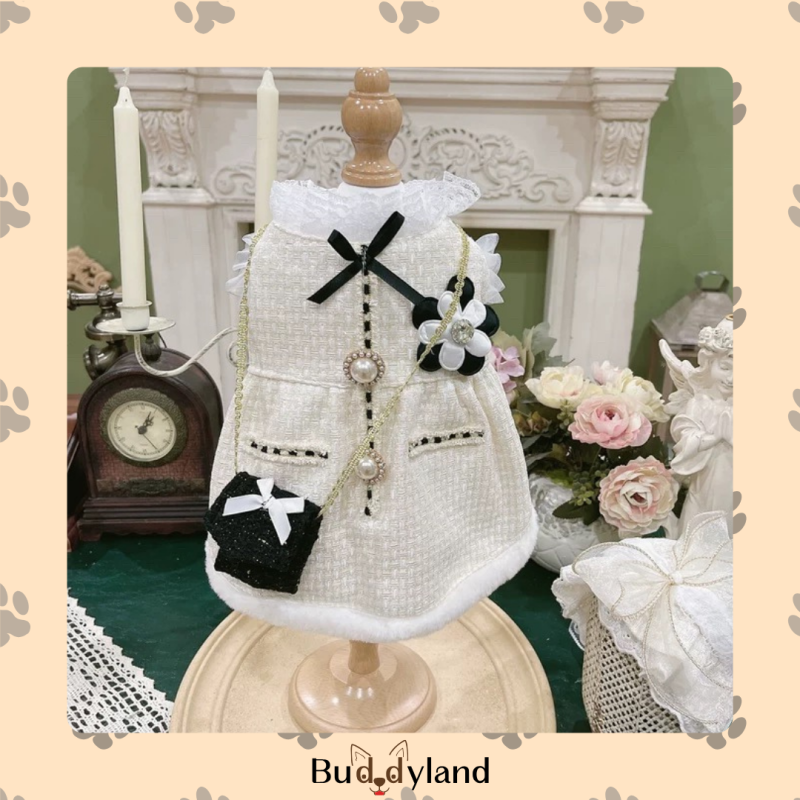 Camellia ribbon glint Lady (X001 c047)