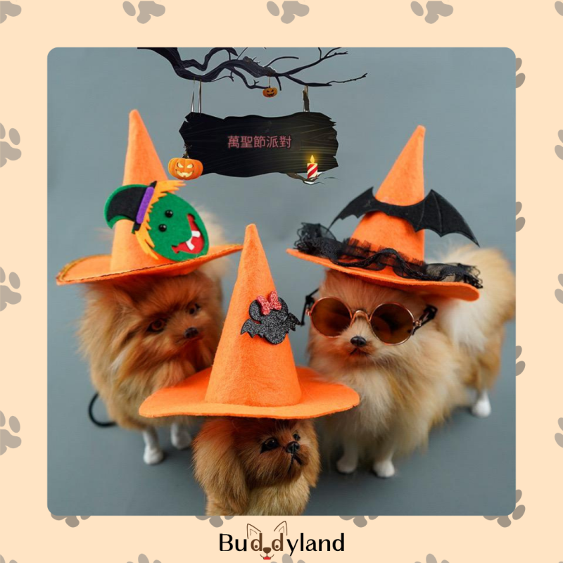 萬聖節橙色蕾絲帽 Halloween orange lace hat (G002 h003)