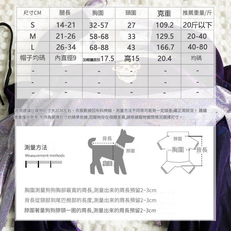 萬聖節紫色女巫裝 Halloween purple witches set (G002 c022)