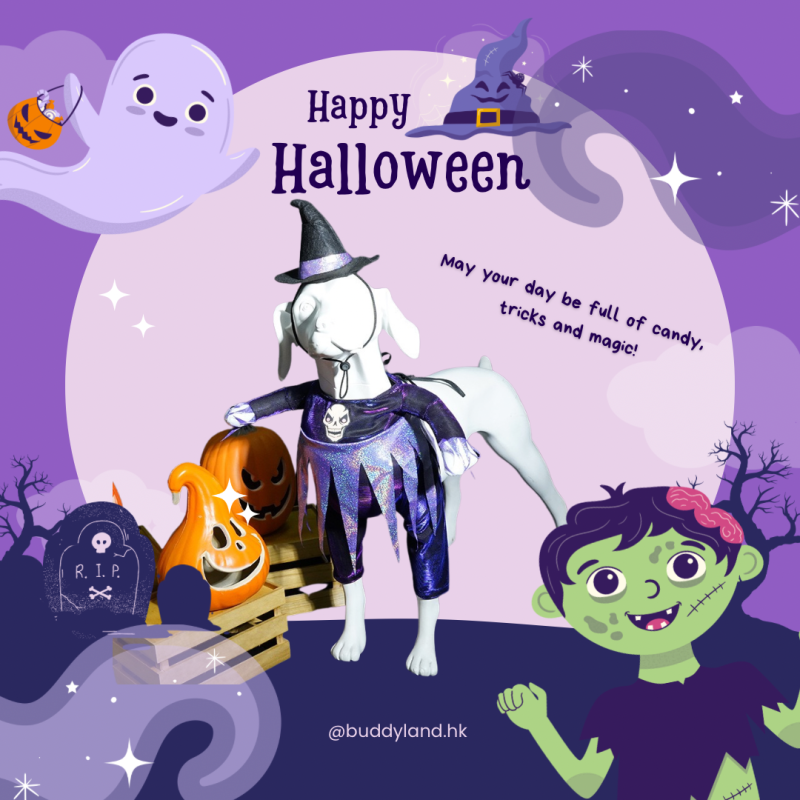 萬聖節紫色女巫裝 Halloween purple witches set (G002 c022)