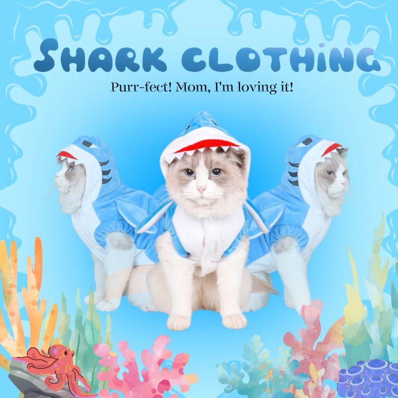 鯊魚衣服 blue shark (G001 c001)
