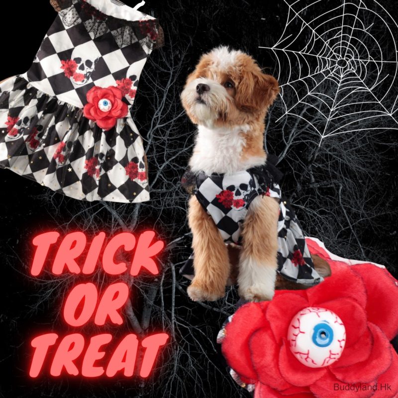 萬聖節骷髏骨獨眼裙 Halloween skeleton creepy eye dress (G002 c024)