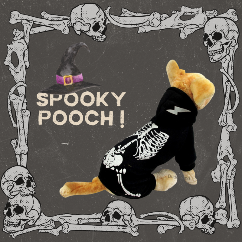 萬聖節骷髏骨衣服 skeleton clothes (G001 c006)
