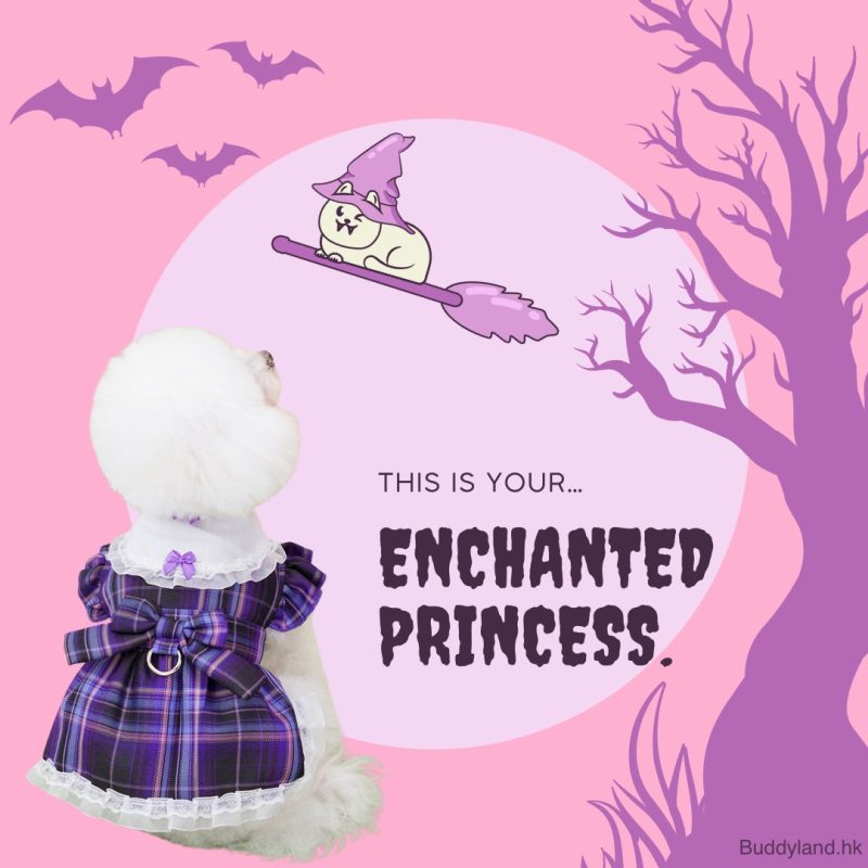 格仔公主裙 enchanted princess dress (H001 c012)